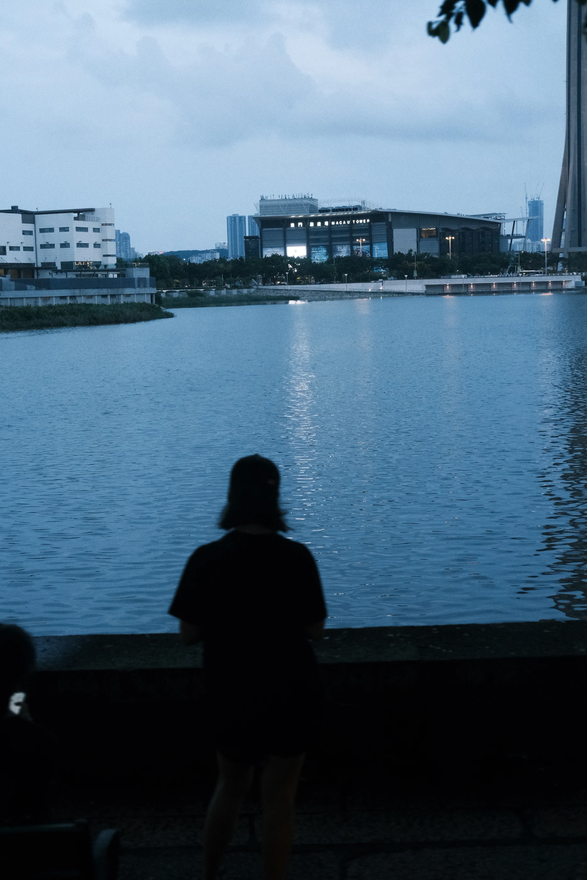 HONG KONG「香港」 精选照片 13