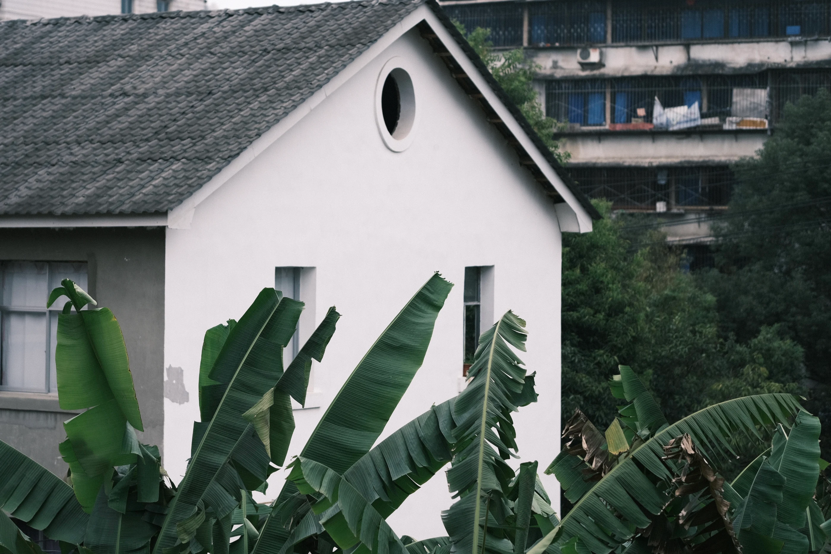GUIYANG 5