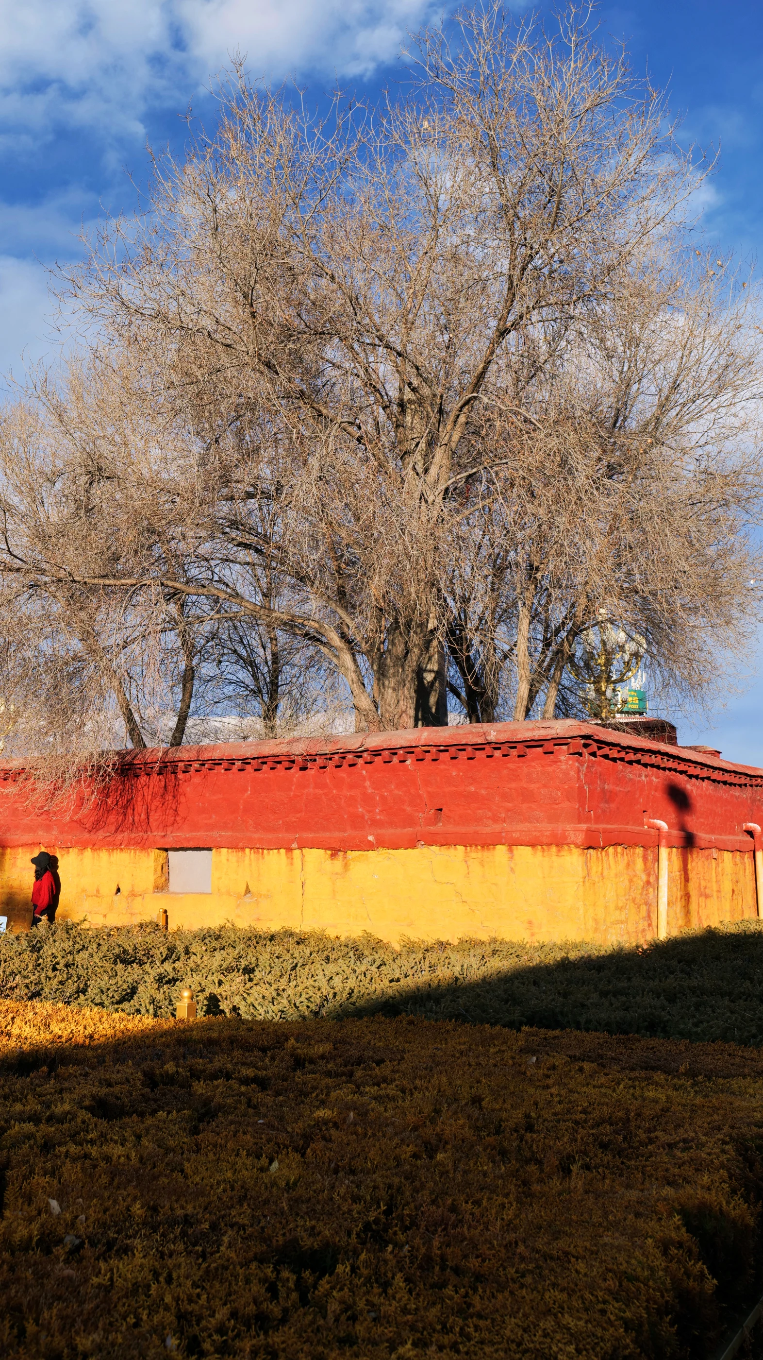 TIBET 7