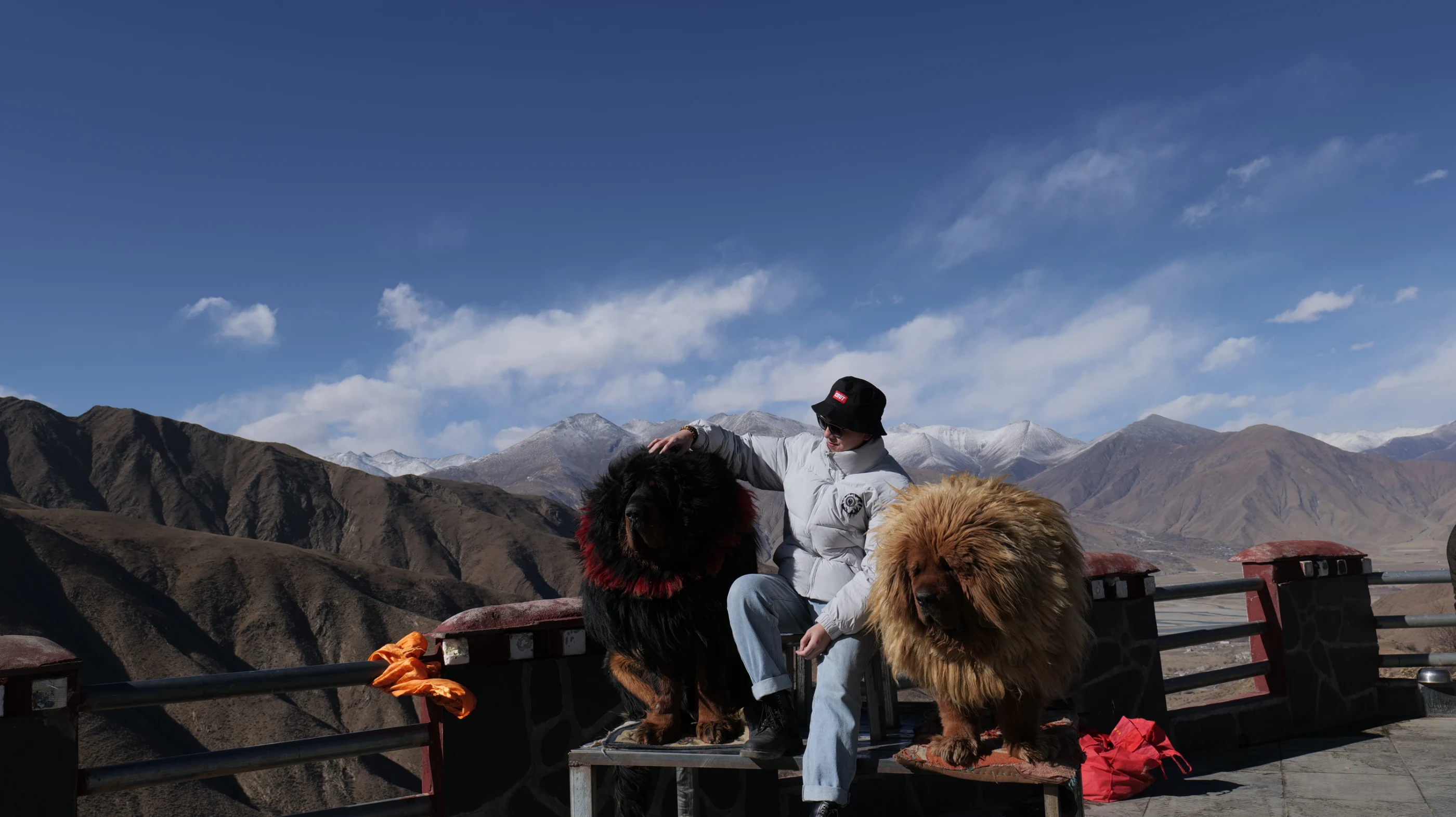 TIBET 10